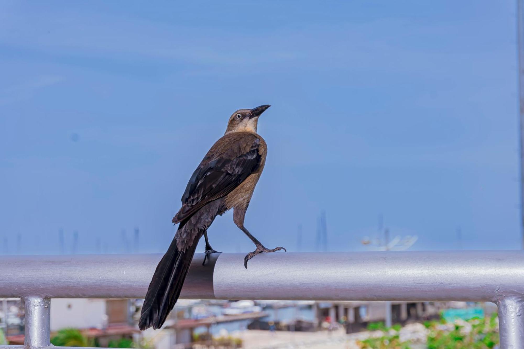 Hotel Sol Inn Santa Marta — Photos 3